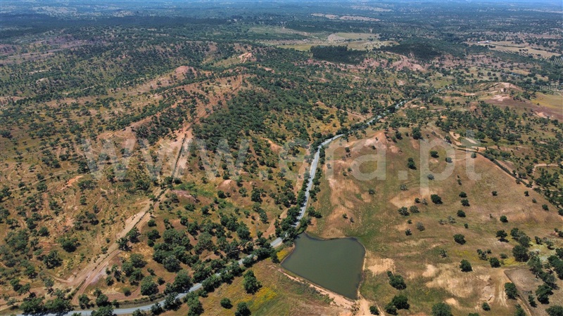 Herdade  Santiago do Cacém, São Domingos e Vale de Água - 1391944 - 9