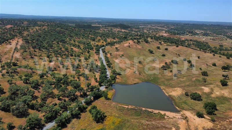Herdade  Santiago do Cacém, São Domingos e Vale de Água - 1391944 - 14