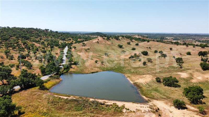 Herdade  Santiago do Cacém, São Domingos e Vale de Água - 1391944 - 29