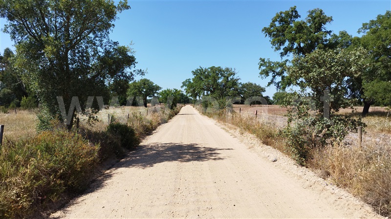 Herdade  Santiago do Cacém, São Domingos e Vale de Água - 1391944 - 42
