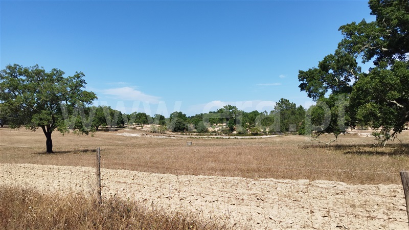 Herdade  Santiago do Cacém, São Domingos e Vale de Água - 1391944 - 44