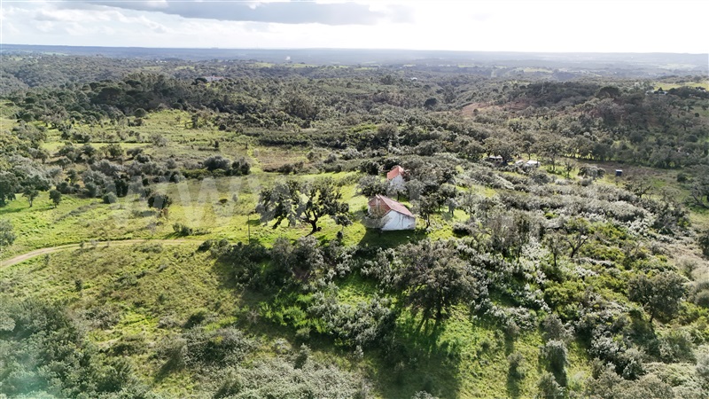 Herdade  Santiago do Cacém, São Francisco da Serra - 1468851 - 2