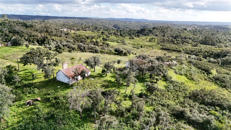 Herdade  Santiago do Cacém, São Francisco da Serra - 1468851 - 4