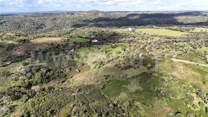 Herdade  Santiago do Cacém, São Francisco da Serra - 1468851 - 6