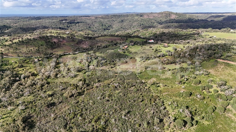 Herdade  Santiago do Cacém, São Francisco da Serra - 1468851 - 7