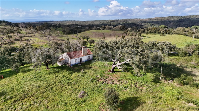 Herdade  Santiago do Cacém, São Francisco da Serra - 1468851 - 8