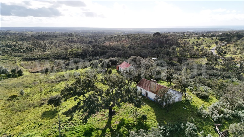 Herdade / Santiago do Cacém, São Francisco da Serra