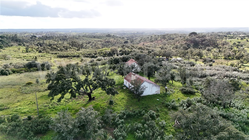 Herdade  Santiago do Cacém, São Francisco da Serra - 1468851 - 10