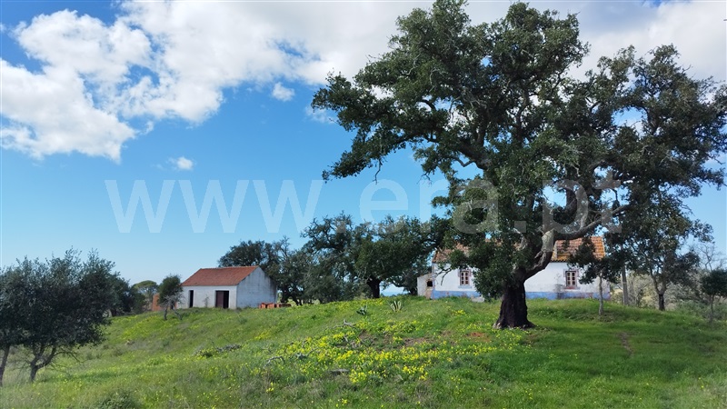 Herdade  Santiago do Cacém, São Francisco da Serra - 1468851 - 12