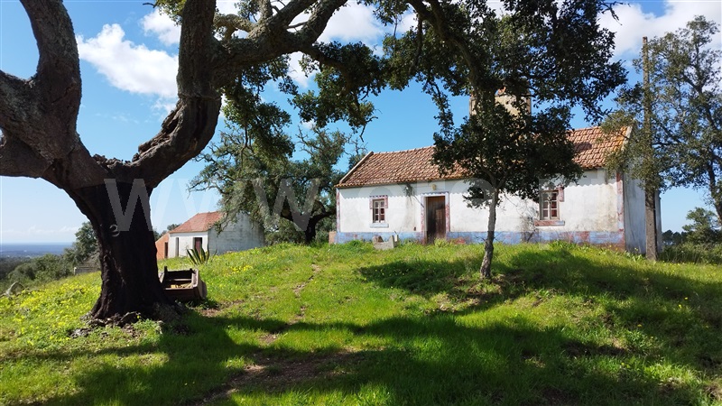 Herdade  Santiago do Cacém, São Francisco da Serra - 1468851 - 13