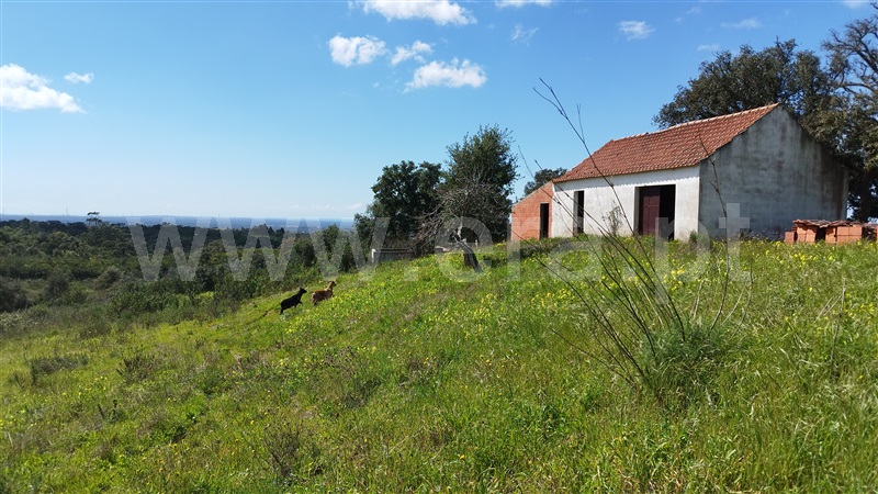 Herdade  Santiago do Cacém, São Francisco da Serra - 1468851 - 17