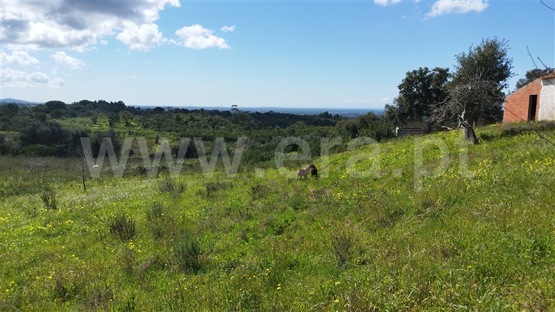 Herdade  Santiago do Cacém, São Francisco da Serra - 1468851 - 18