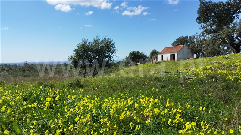 Herdade  Santiago do Cacém, São Francisco da Serra - 1468851 - 19