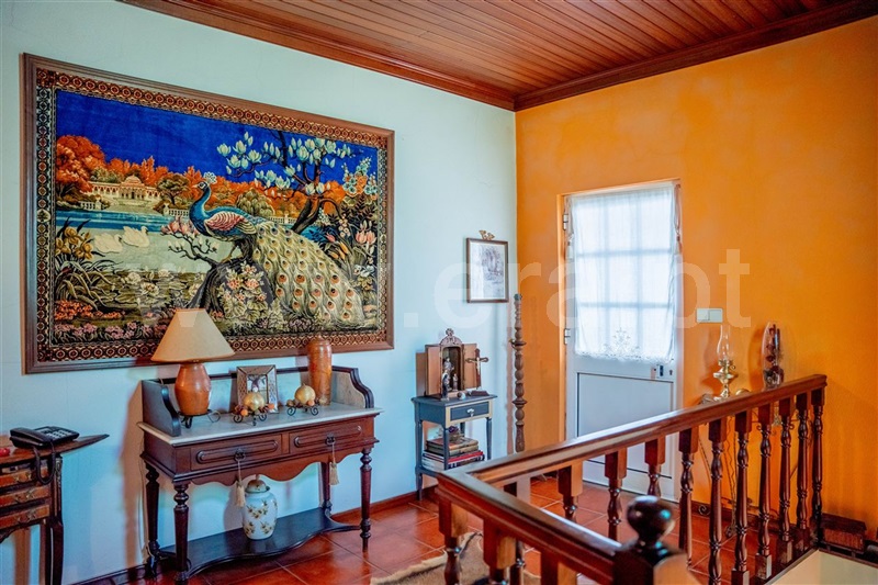 Herdade  com Grande São Pedro do Sul, São Pedro do Sul - 1464220 - 18