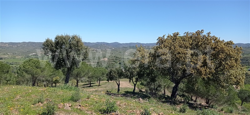 Herdade  Silves, São Bartolomeu de Messines - 1317128 - 2