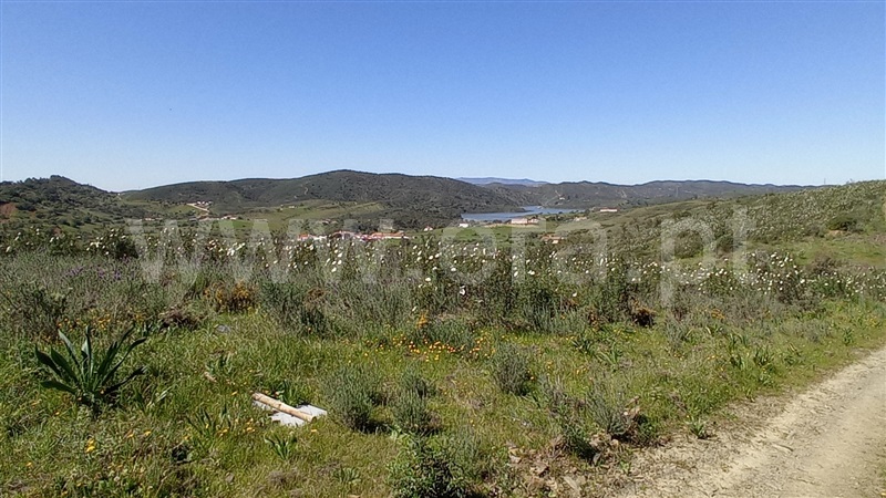 Herdade  Silves, São Bartolomeu de Messines - 1317128 - 4