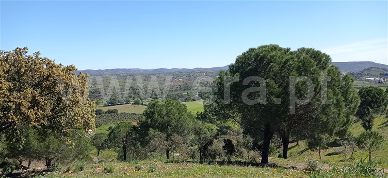 Herdade  Silves, São Bartolomeu de Messines - 1317128 - 5