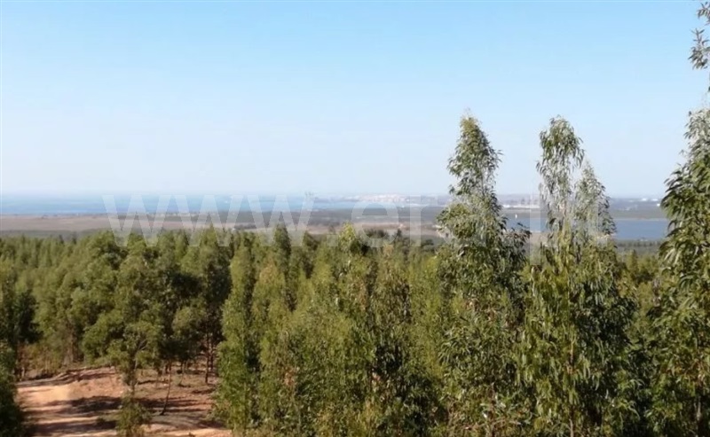 Herdade  Sines - 1032230 - 6