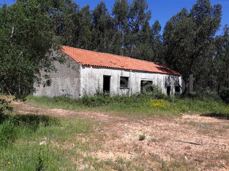 Herdade / Sines, Sines