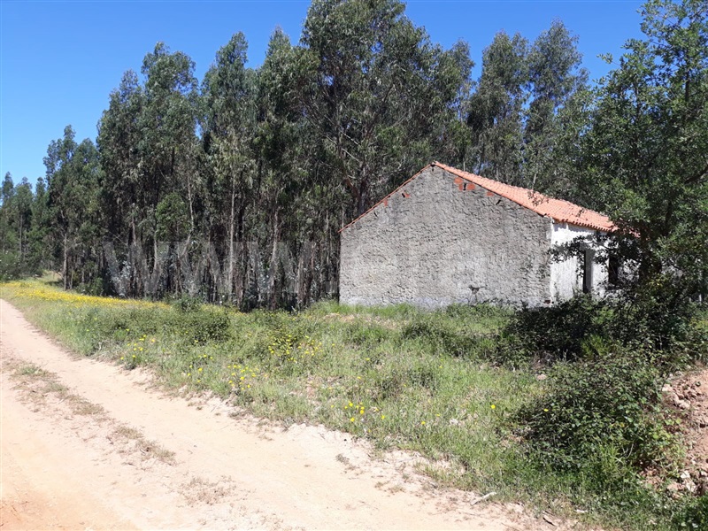 Herdade  Sines - 1032230 - 4