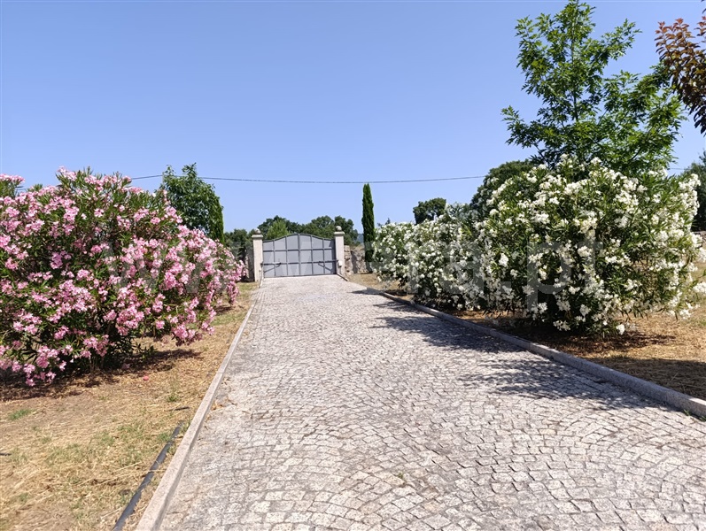 Herdade T1 Fornos de Algodres - 1492245 - 9