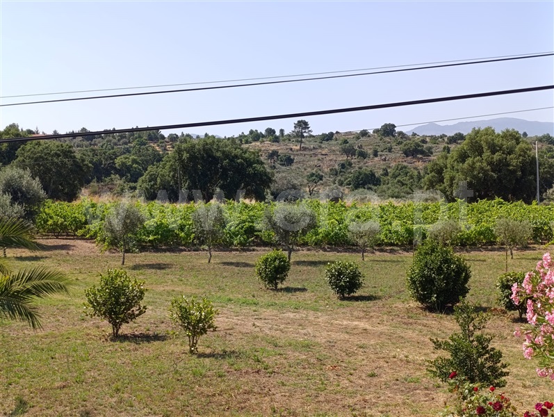 Herdade T1 Fornos de Algodres - 1492245 - 14