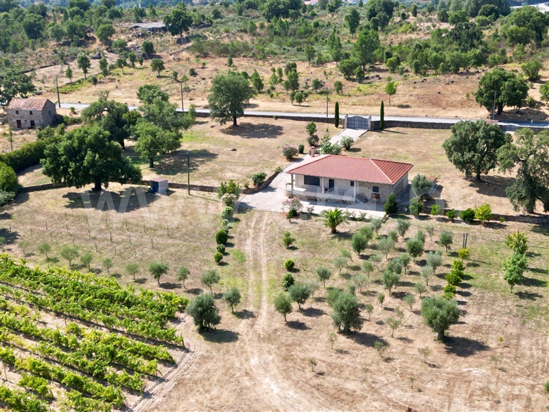 Herdade T1 / Fornos de Algodres, Fornos de Algodres