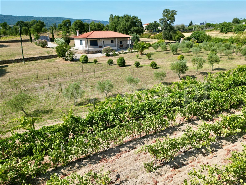 Herdade T1 Fornos de Algodres - 1492245 - 15