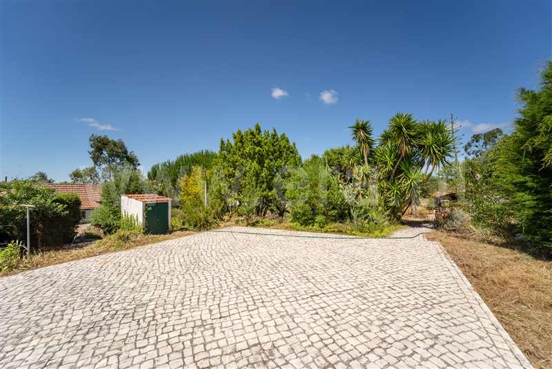 Herdade T10 com Luxo Alcobaça, Évora de Alcobaça - 1450416 - 11