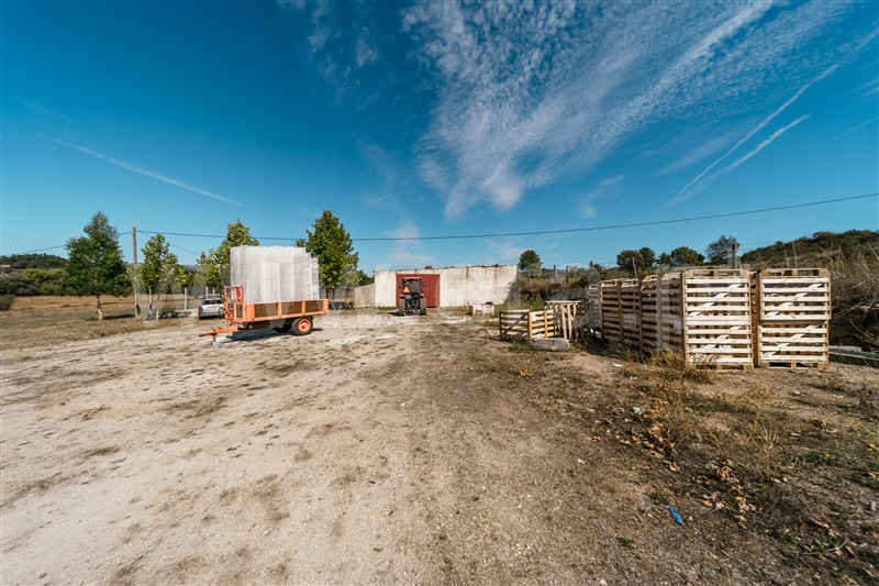 Herdade  Belmonte, Belmonte - 1439789 - 57
