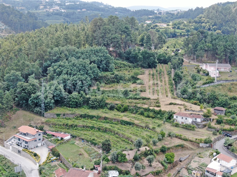 Herdade T2 / Castelo de Paiva, Fornos