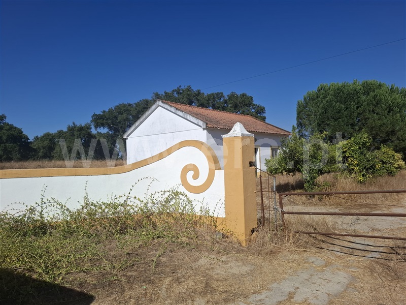 Herdade T2 / Coruche, Coruche, Fajarda e Erra