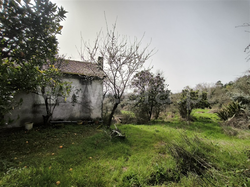Herdade T2 / Mangualde, Tavares (Chãs, Várzea e Travanca)
