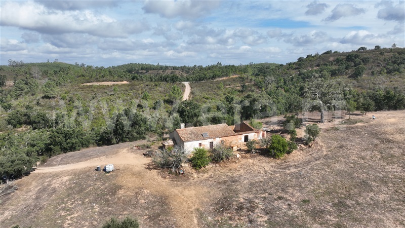 Herdade T2 Odemira, Reliquias - 1416427 - 4