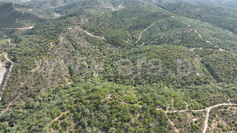 Herdade T2 Odemira, Reliquias - 1416427 - 13
