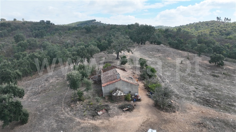 Herdade T2 Odemira, Reliquias - 1416427 - 14
