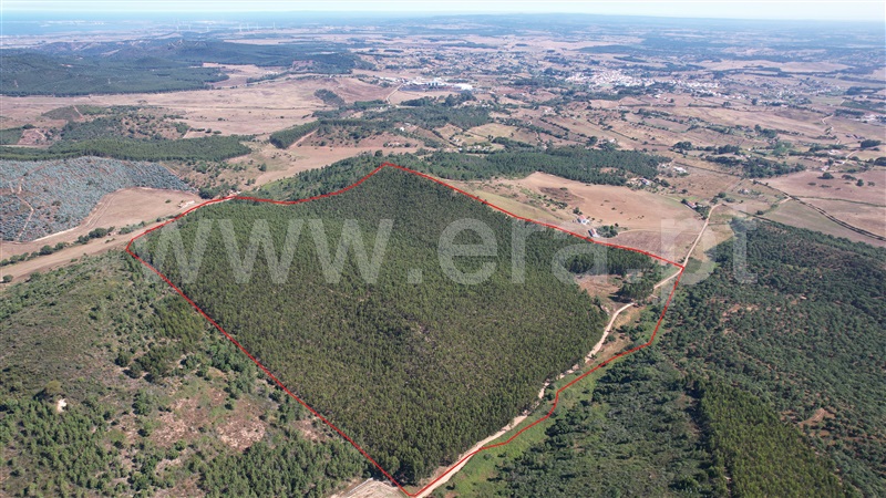 Herdade T2 / Santiago do Cacém, Rabo de Lobo