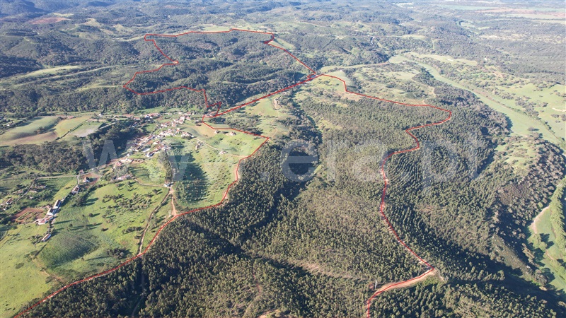 Herdade T3 / Odemira, Relíquias