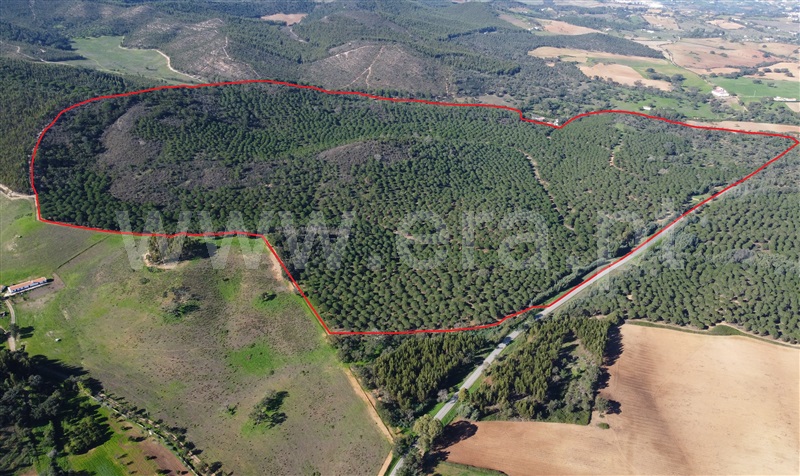 Herdade T3 / Odemira, São Luís