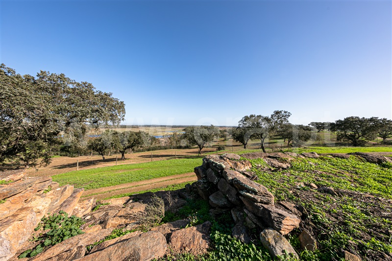 Herdade T3 / Ourique, Ourique