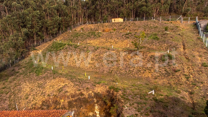 Herdade T4 Caminha, Vilar de Mouros - 1434036 - 29