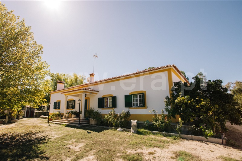 Herdade T4 / Coruche, Coruche