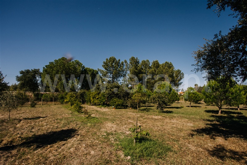 Herdade T4 Coruche, Coruche - 1504688 - 9