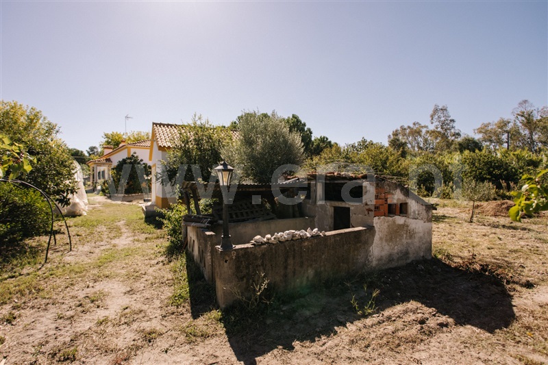 Herdade T4 Coruche, Coruche - 1504688 - 11