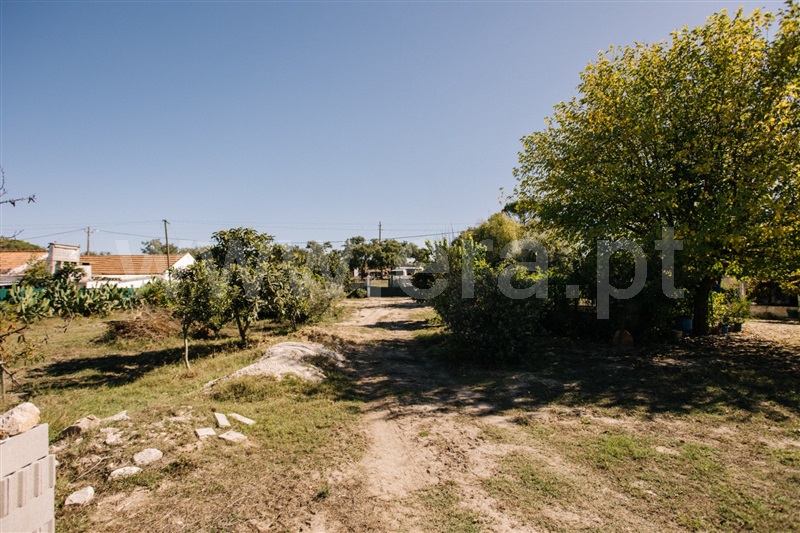 Herdade T4 Coruche, Coruche - 1504688 - 13