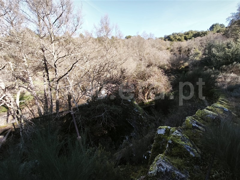Herdade T4 Fundão, Lavacolhos - 1464928 - 2