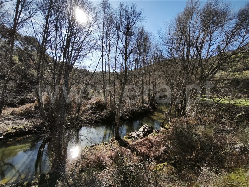 Herdade T4 Fundão, Lavacolhos - 1464928 - 9