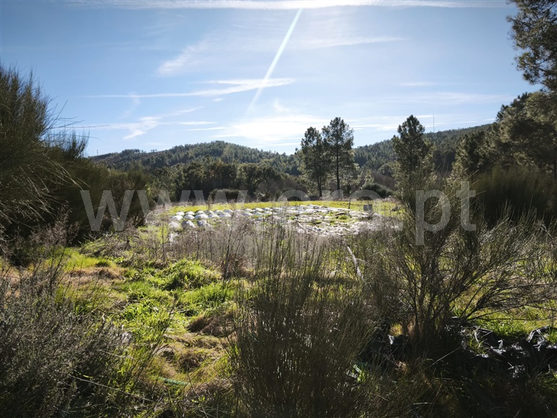 Herdade T4 Fundão, Lavacolhos - 1464928 - 11