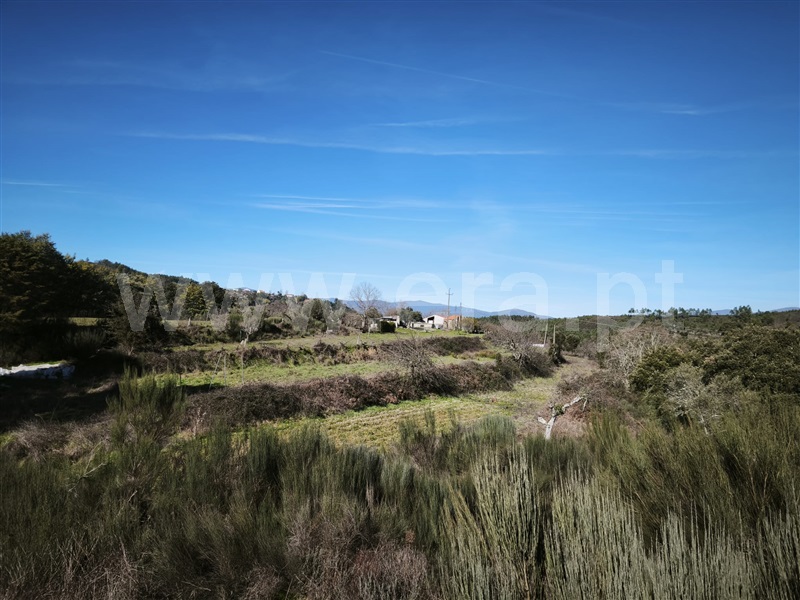 Herdade T4 Fundão, Lavacolhos - 1464928 - 12