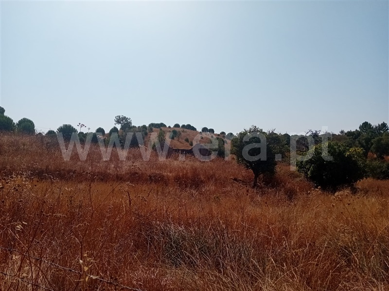 Herdade T4 Grândola, Grândola e Santa Margarida da Serra - 1492052 - 10
